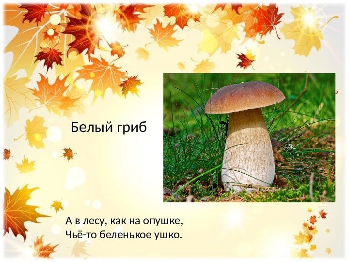 Презентация по лексической теме " В лес за грибами" средняя группа