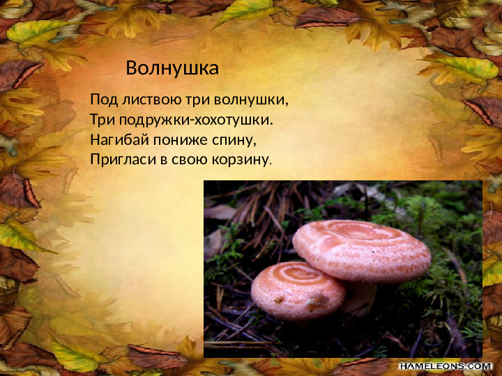 Презентация по лексической теме " В лес за грибами" средняя группа