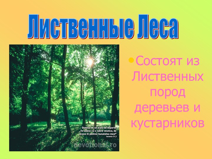 Презентация к занятию в старшей группе "Животные разных стран"