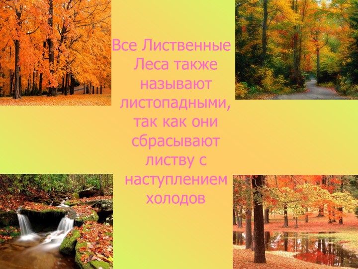 Презентация к занятию в старшей группе "Животные разных стран"