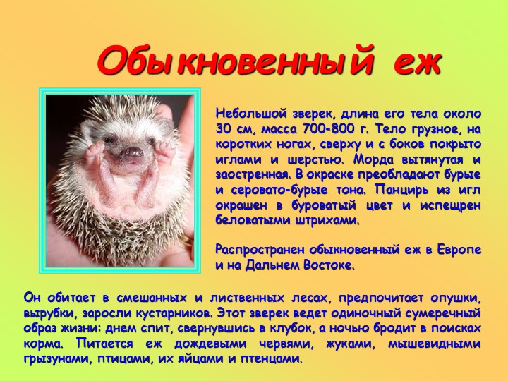 Презентация к занятию в старшей группе "Животные разных стран"