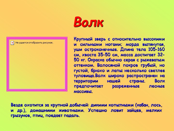 Презентация к занятию в старшей группе "Животные разных стран"