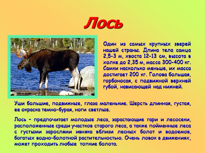 Презентация к занятию в старшей группе "Животные разных стран"