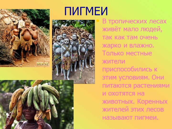 Презентация к занятию в старшей группе "Животные разных стран"