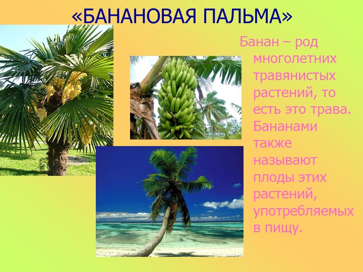 Презентация к занятию в старшей группе "Животные разных стран"