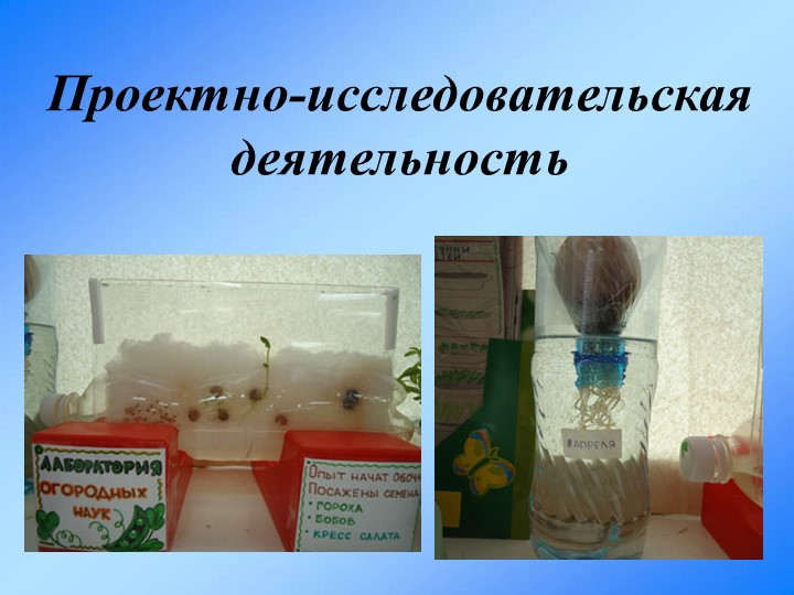 Презентация "Ознакомление с миром природы – как одно из средств всестороннего развития и воспитания детей".