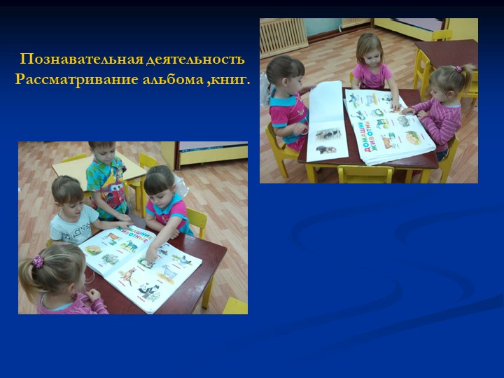 Проект презентация "Домашние животные"