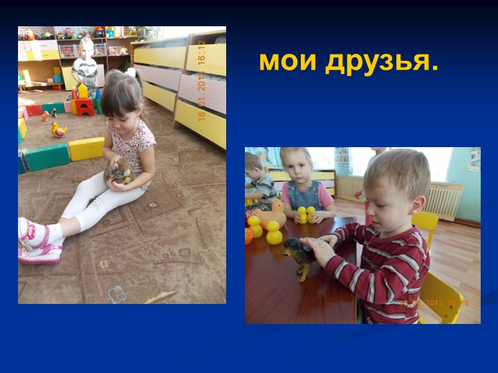 Проект презентация "Домашние животные"