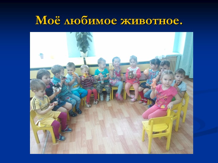 Проект презентация "Домашние животные"