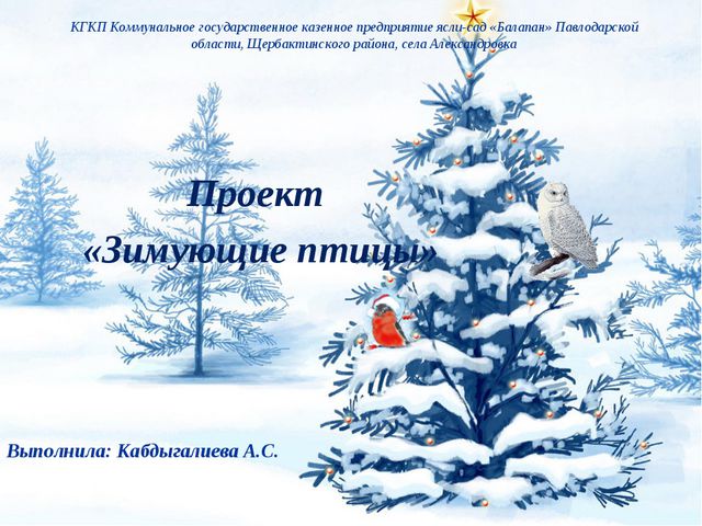 Зимующие птицы. Презентация для дошкольников