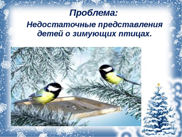 Зимующие птицы. Презентация для дошкольников