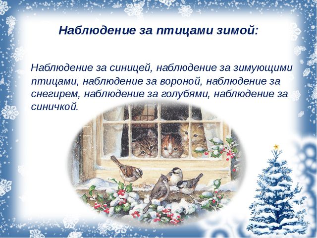 Зимующие птицы. Презентация для дошкольников