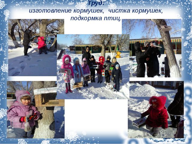 Зимующие птицы. Презентация для дошкольников