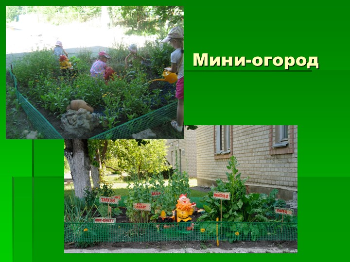 Презентация "Организация летнего оздоровительного периода