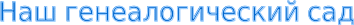 Shape26