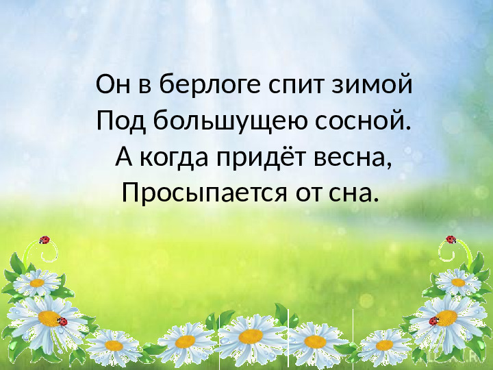Презентация для детей младшего дошкольного возраста "Кто живет в лесу"