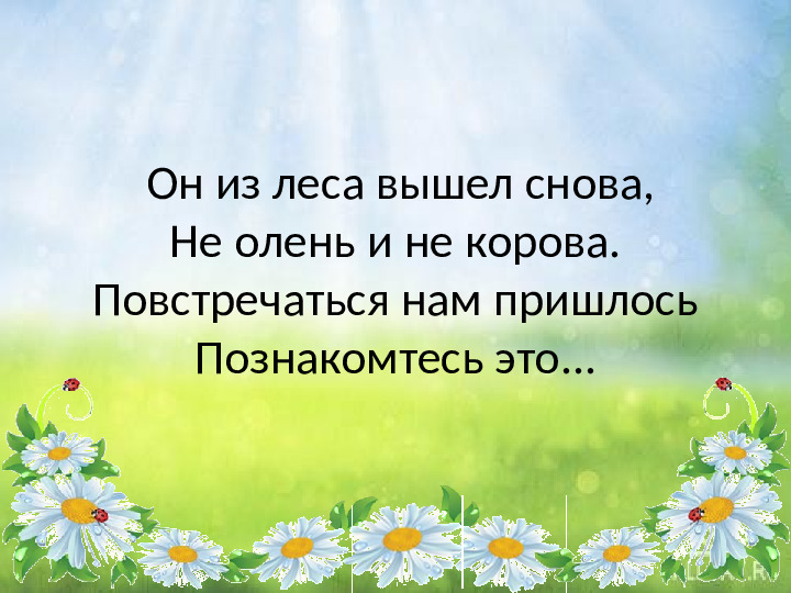 Презентация для детей младшего дошкольного возраста "Кто живет в лесу"