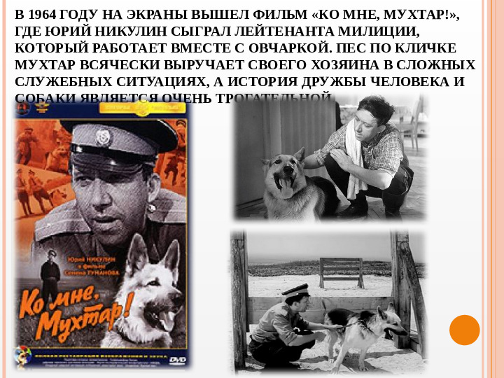 Презентация вечера-встречи, посвященного творчеству Ю.В. Никулина "Любимый клоун"