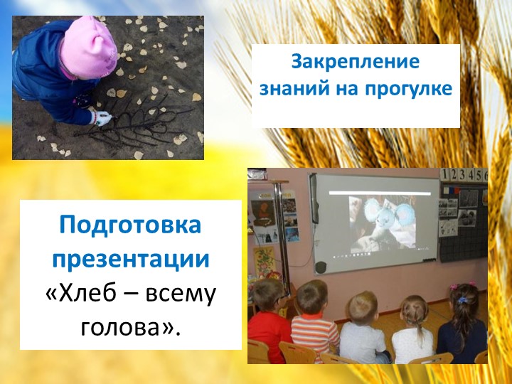 Презентация "Хлеб всему голова" старшая группа