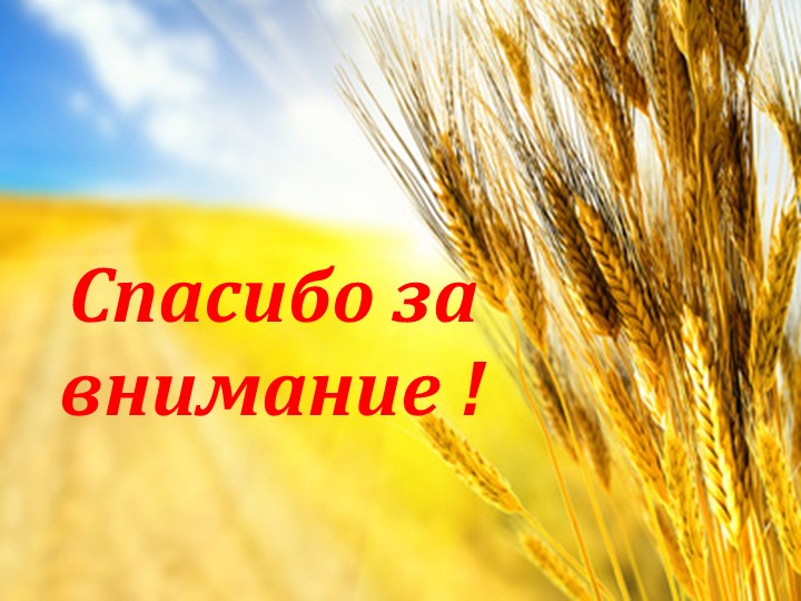 Презентация "Хлеб всему голова" старшая группа
