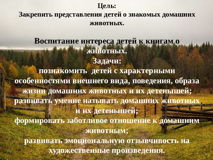 Презентация на тему: "Деревенское подворье"