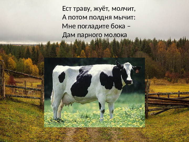 Презентация на тему: "Деревенское подворье"