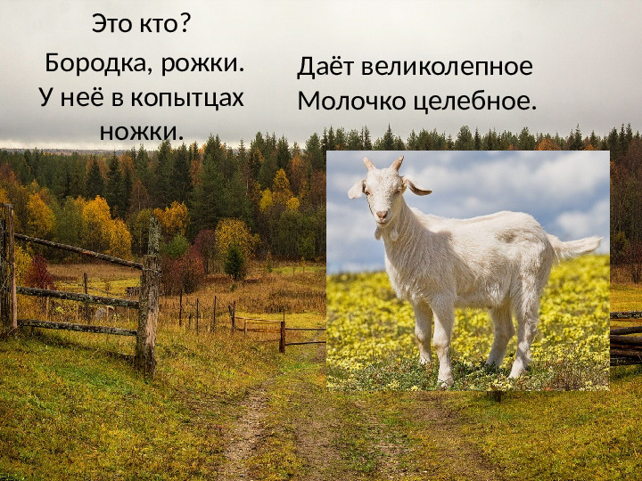 Презентация на тему: "Деревенское подворье"