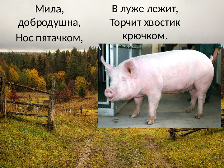 Презентация на тему: "Деревенское подворье"