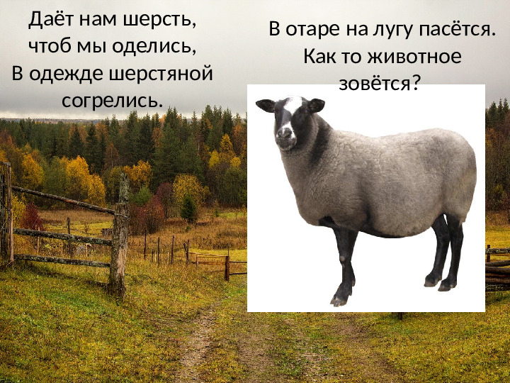 Презентация на тему: "Деревенское подворье"