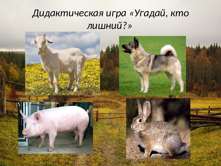 Презентация на тему: "Деревенское подворье"