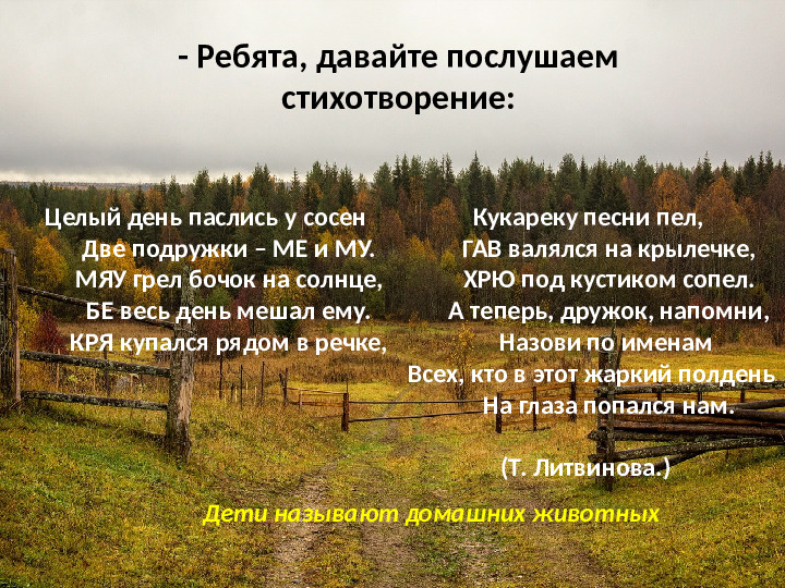 Презентация на тему: "Деревенское подворье"