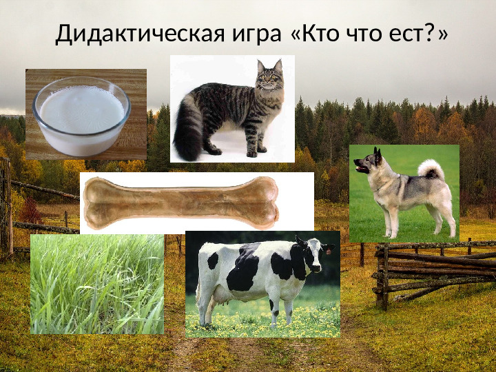 Презентация на тему: "Деревенское подворье"