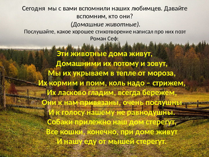 Презентация на тему: "Деревенское подворье"