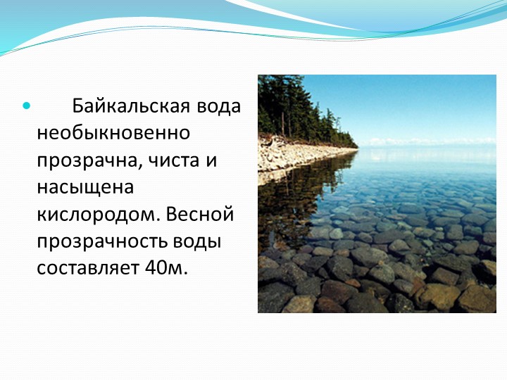 Презентация по экологическому развитию детей дошкольного возраста "Байкальский заповедник"
