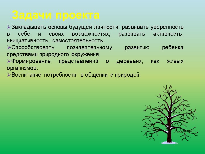 Проект по экологическому воспитанию "Деревья нашего края"