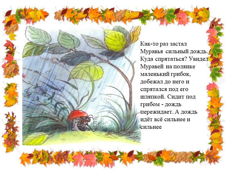 Презентация " Путешествие в осенний лес по сказке В. Сутеева "Под грибом""