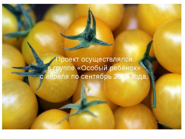 Юные огородники. Презентация проекта в ДОУ