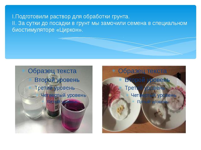 Юные огородники. Презентация проекта в ДОУ
