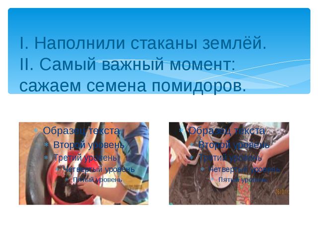 Юные огородники. Презентация проекта в ДОУ
