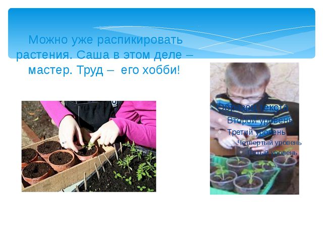 Юные огородники. Презентация проекта в ДОУ