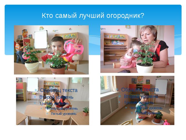Юные огородники. Презентация проекта в ДОУ