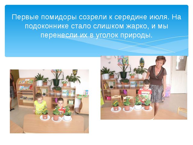 Юные огородники. Презентация проекта в ДОУ