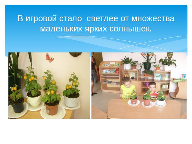 Юные огородники. Презентация проекта в ДОУ