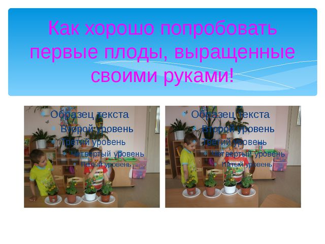 Юные огородники. Презентация проекта в ДОУ