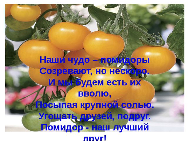 Юные огородники. Презентация проекта в ДОУ