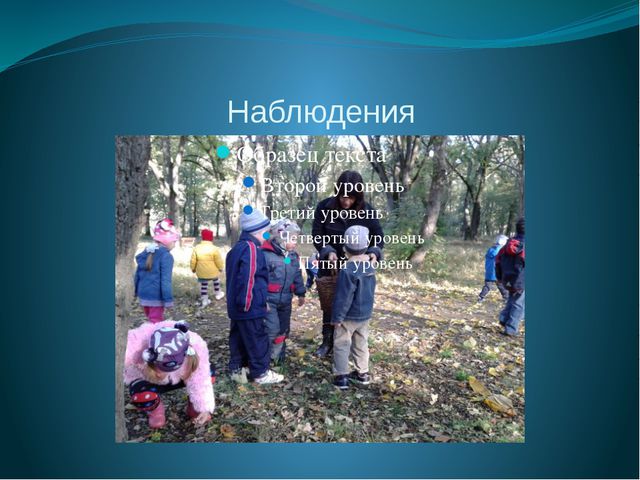 Социализация детей в детском саду