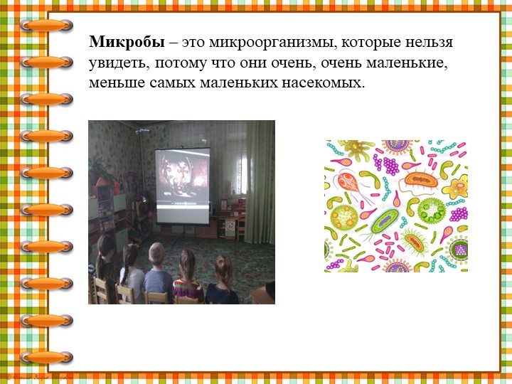 Презентация " Что мы знаем о микробах"