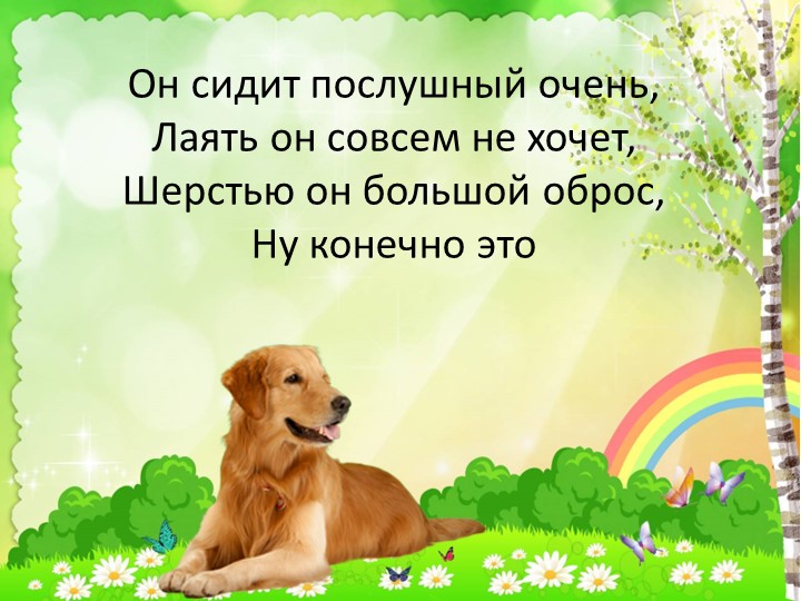 Презентация "Загадки о животных"