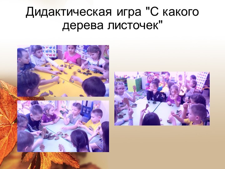 Презентация "Здравствуй, осень золотая!"