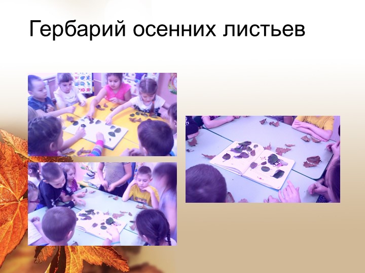 Презентация "Здравствуй, осень золотая!"